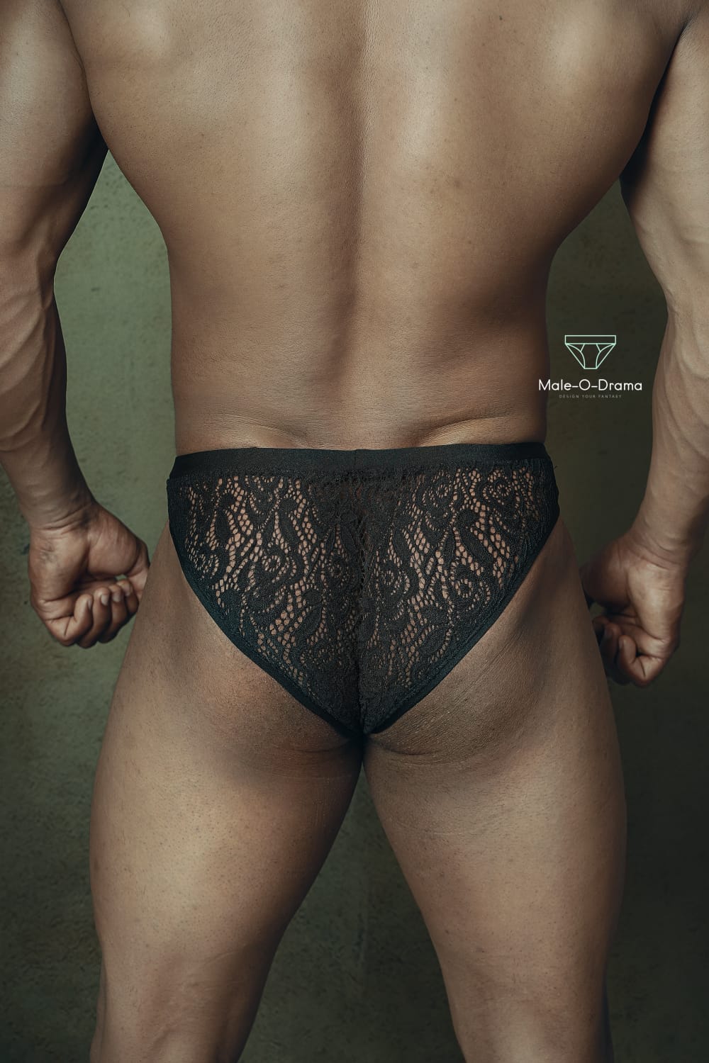 Black Lace net transparent brief