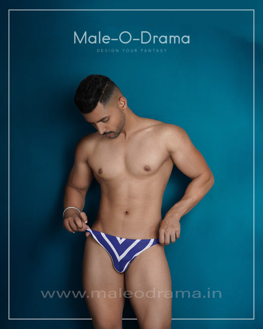 Blue and White stripe brief in Cotton Lycra